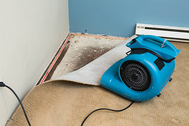 Best Ceiling water damage repair  in Victorville, CA
